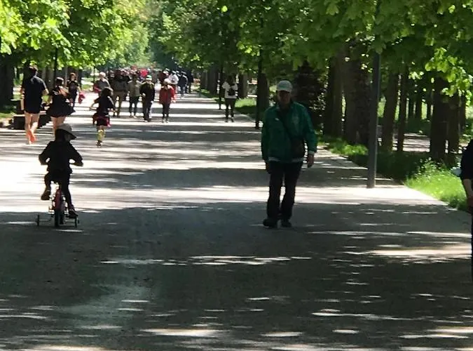 Turisticos Pidal 3 Vut-09-316 *