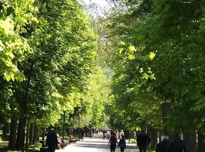 Apartment Turisticos Pidal 3 Vut-09-316 *